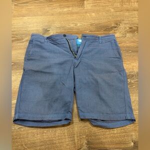 Ganesh Blue Micro-Pattern Flat Front Shorts
